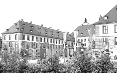 Kinderschutz und politische Glaubwürdigkeit